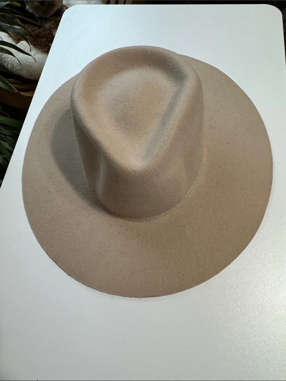 Twister Wide Brim Felt Fedora Hat - Beige Tan Wool XL
